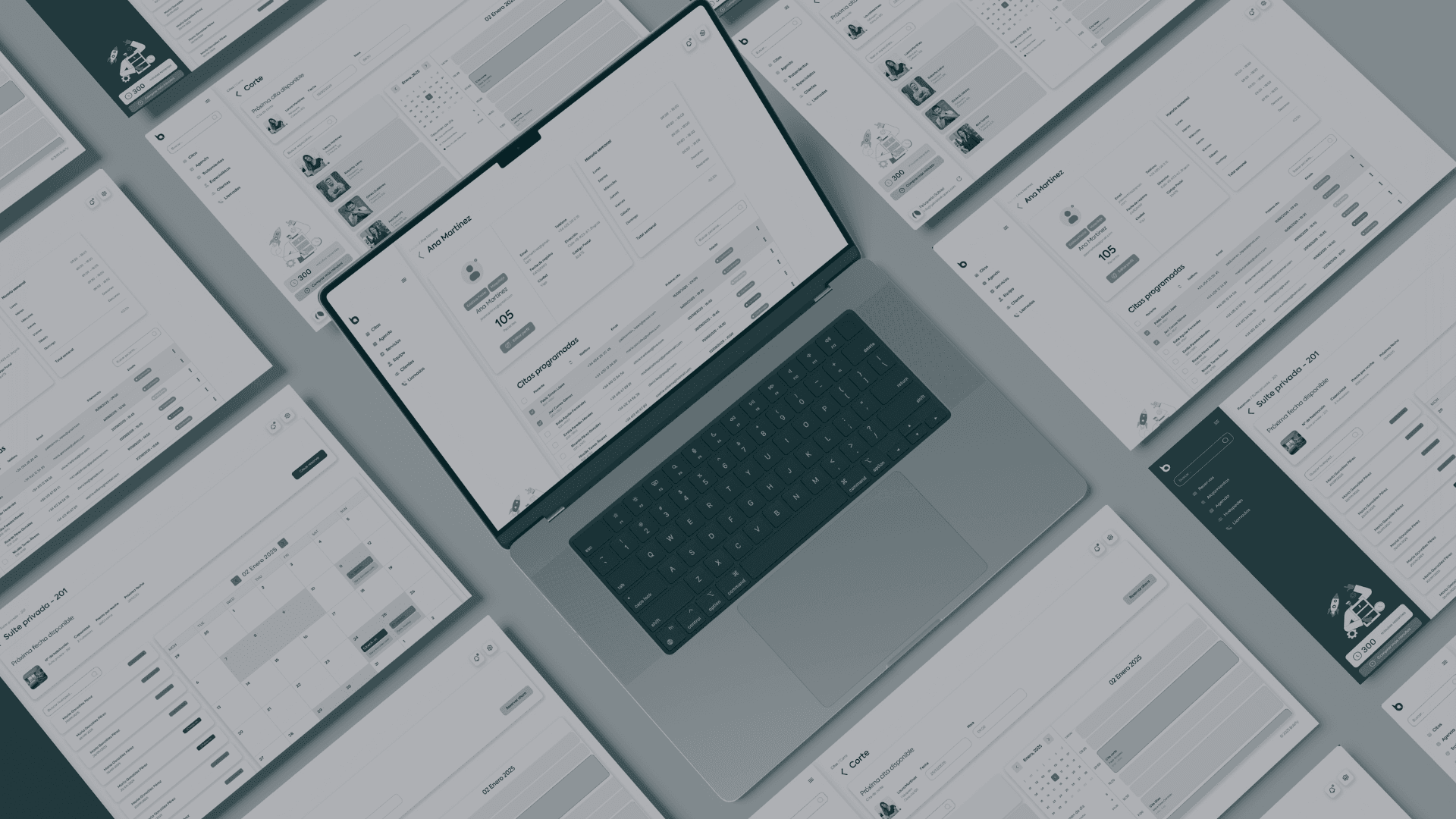 Profesionales usando BOOK·INT